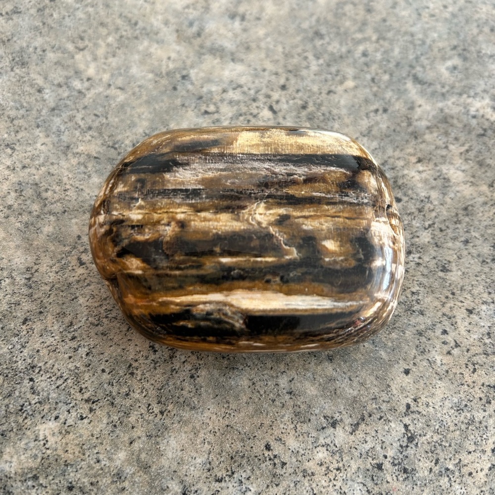🌲 Petrified Wood Crystal Specimen Agatized, Western Decor, NWOT - Picture 2 of 6